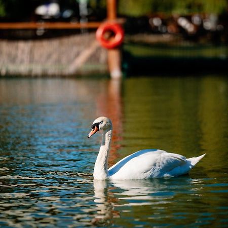 Montana Garden Hotel Răşinari Екстериор снимка
